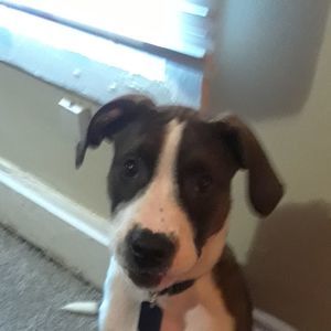 Meet your Posher, Debra